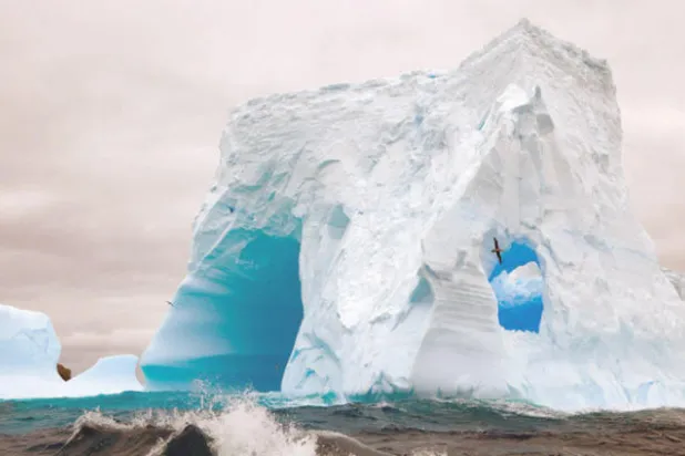 القطب الجنوبي المهدد بيئياً في مرمى السياحة الجماعية والاستكشاف