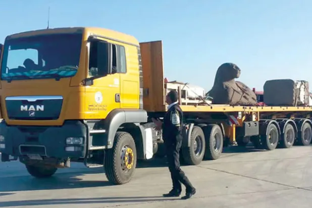 «رأس حتحور» وأسد من الجرانيت يستقران بمتحف شرم الشيخ