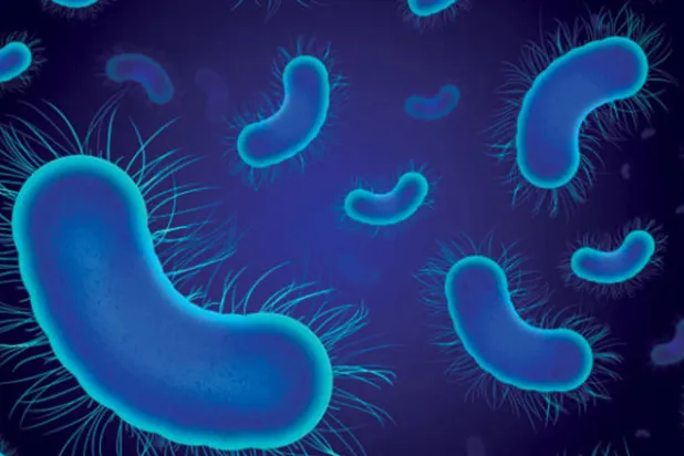 معدن يهزم بكتيريا مقاومة للمضادات الحيوية