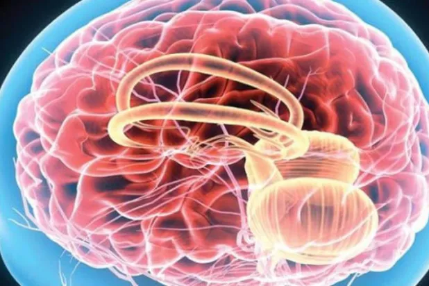 باحثون يكتشفون شبكات الدماغ المسؤولة عن الانتحار