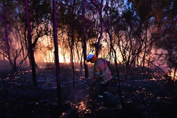 حريق غابات سيدني قد يستمر لأسابيع