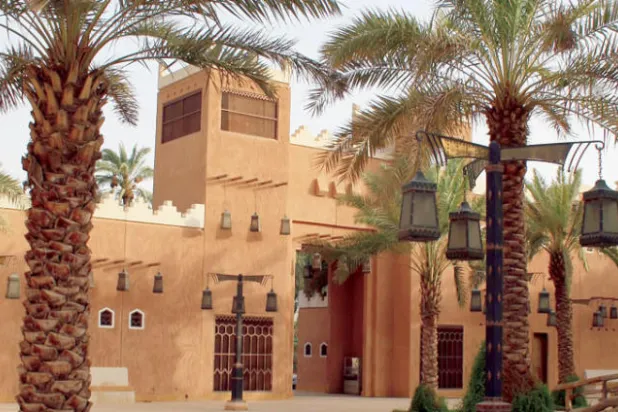 السعودية تنجح في تسجيل «النخلة» تراثاً عربياً مشتركاً لدى «اليونيسكو»