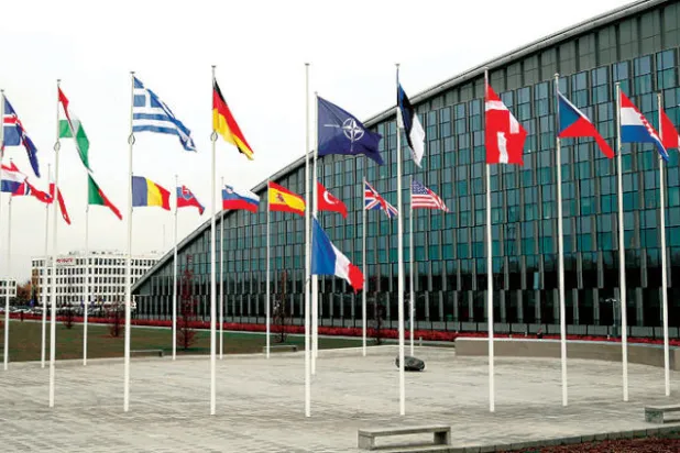 «الناتو»: سيدة عجوز تستعيد شبابها