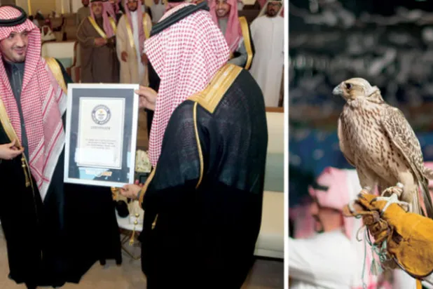 السعودية مهد متجدد للصقور في العالم