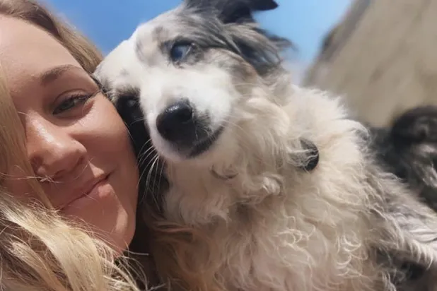 أميركية تستأجر طائرة وتعرض 7000 دولار مكافأة للعثور على كلبها المسروق