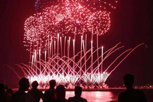 بلدة نمساوية تحظر الألعاب النارية في احتفالات نهاية العام