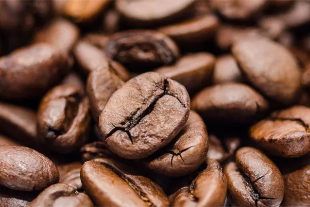 دراسة كورية جنوبية: القهوة تقلل من فرص الإصابة بألزهايمر