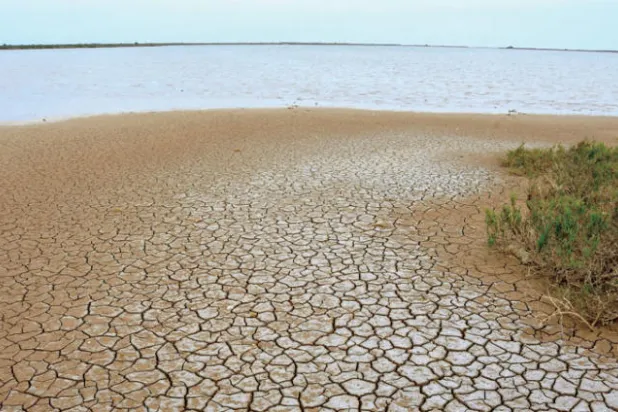 بحر الحضارات يحتضر... المشاكل البيئية تخنق البحر المتوسط