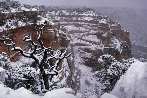 Büyük Kanyon'da yaklaşık iki hafta önce kaybolan adam sağ bulundu