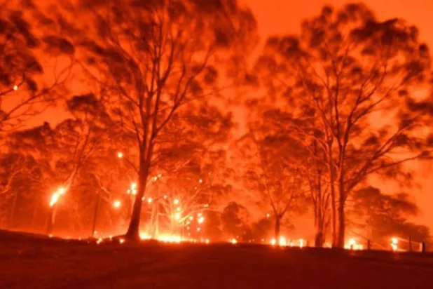 نجوم هوليوود يقودون حملات لدعم جهود مكافحة الحرائق في أستراليا