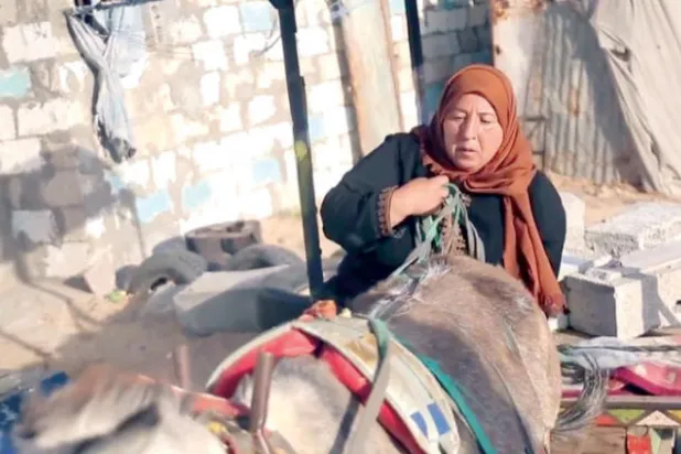 تتجهز جهاد لرحلة عمل جديدة (الشرق الأوسط)