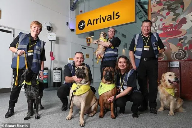 مطار يستخدم الكلاب لتخفيف توتر المسافرين ومساعدة ذوي الإعاقات