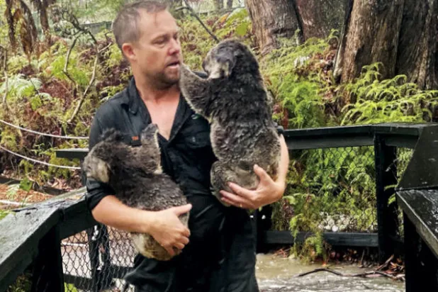 أستراليا تبدأ في تقييم الأضرار مع إبطاء الأمطار لحرائق الغابات