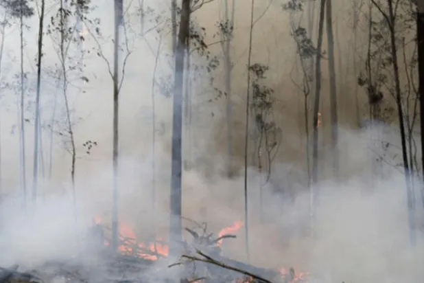 سيول وعواصف بعد الحرائق في أستراليا
