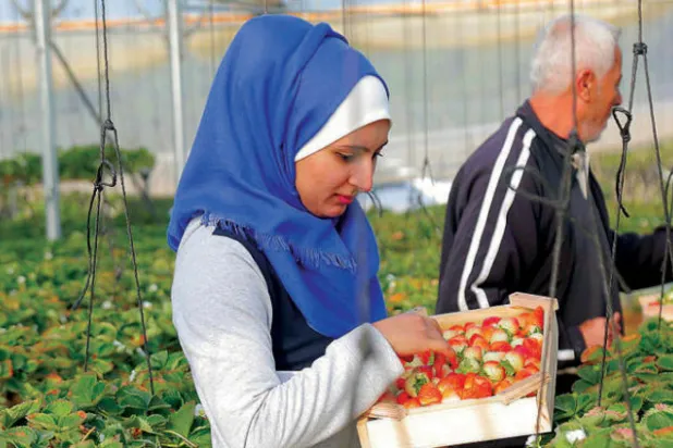 برفقة والدها الذي يساعدها بعملها داخل المزرعة (الشرق الأوسط)