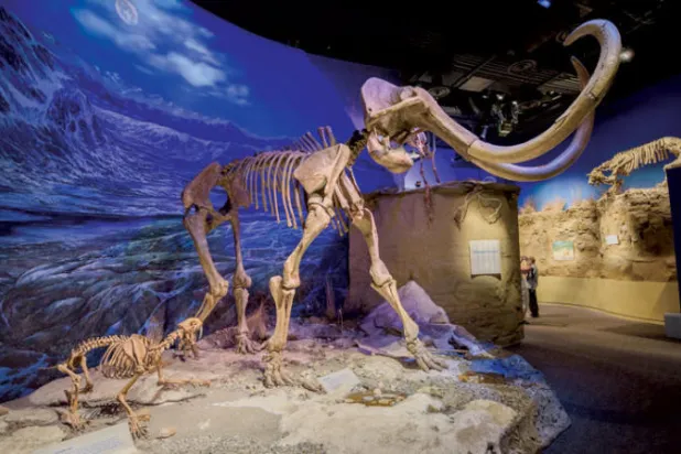 رحلة إلى الماضي في متنزه الديناصورات