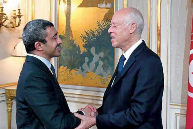 Libyan Crisis Tops Discussions of UAE FM, Tunisian President