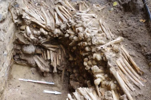 اكتشاف جدران من عظام وجماجم بشرية أسفل كاتدرائية ببلجيكا