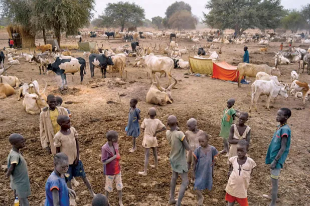 محققون أمميون: شعب جنوب السودان يتعرض لتجويع متعمد وترهيب