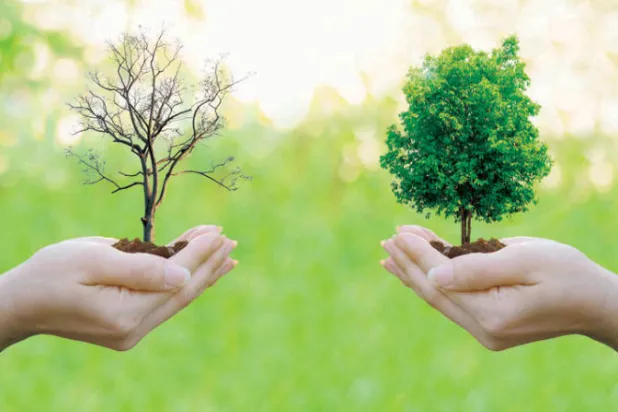 النظام البيئي العالمي... ينبوع ينضب من عناصر باهظة الثمن