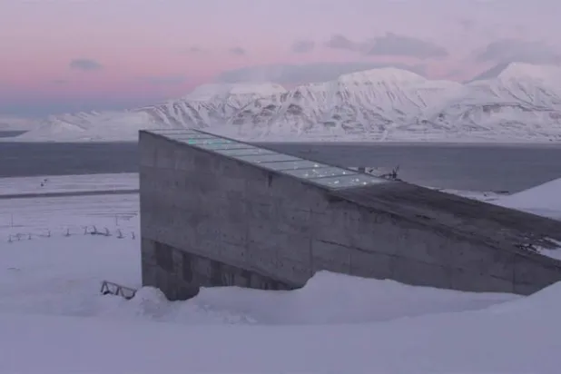 عينات البذور المخزنة بالقطب الشمالي تبلغ المليون