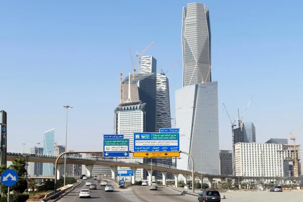 KSA: Group of Investors Briefed on 100 Privatization Opportunities