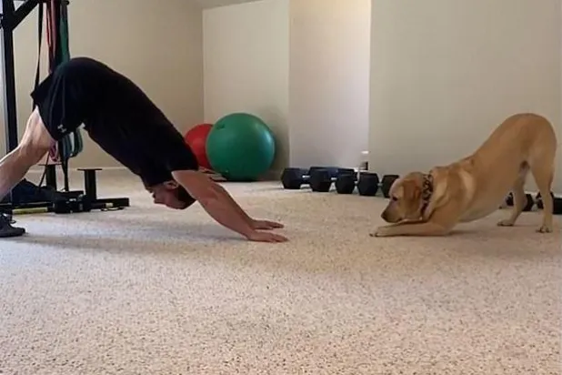 بالفيديو... كلب يؤدي التمرينات الرياضية مع صاحبه