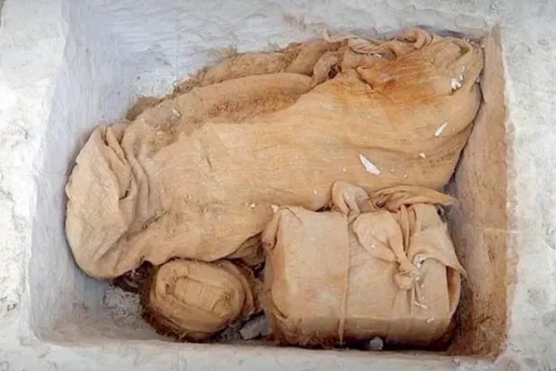 المقتنيات ومنها لفافة للإوزة الفرعونية