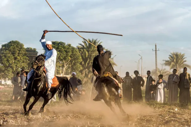 رقصات شعبية على الخيول للمصور عمر جهاد
