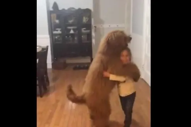 فيديو لطفلة ترقص مع كلبها على أنغام الموسيقى يثير الفرح وسط أجواء «كورونا»