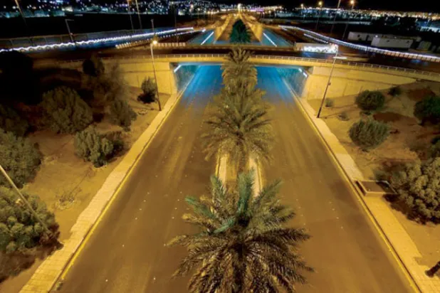 صوت «الحمى المتوحشة»