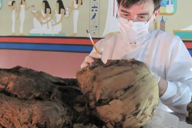 استعادة معلومات غذائية دفنها التحنيط الفرعوني