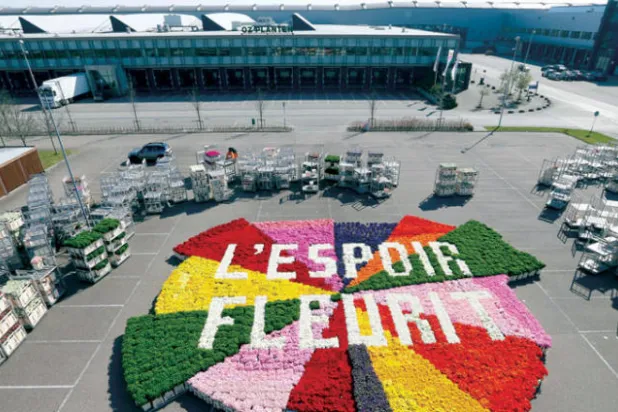 تجارة الأزهار في هولندا: قصة ازدهار وانهيار أبطالها «فيروسات»