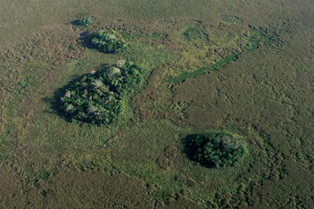 بوليفيا عرفت الزراعة قبل 10 آلاف عام
