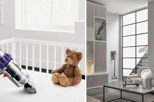 لتبدأ حملة التطهير من بيوتنا