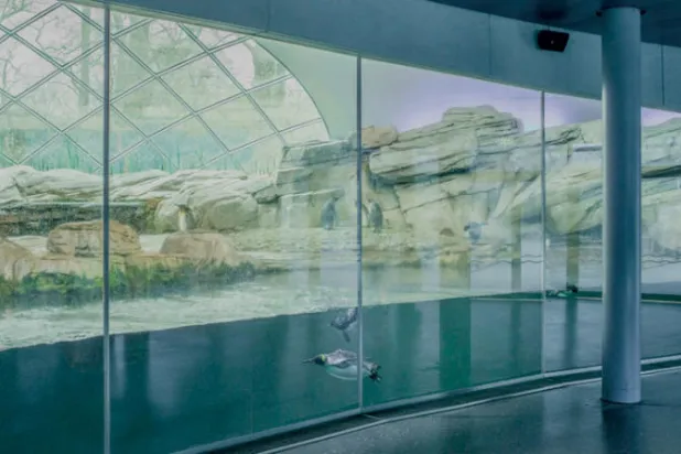 «كورونا» قد يدفع حديقة ألمانية إلى ذبح حيوانات لإطعام أخرى