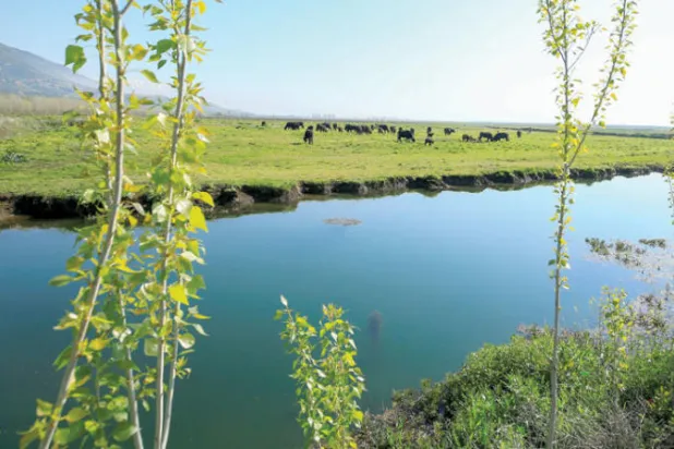 الوباء يعيد اللبنانيين إلى أريافهم ويخفف التلوّث