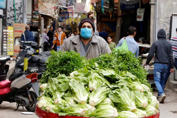 G20 Agriculture Ministers to Discuss World Food Security amid Virus Crisis