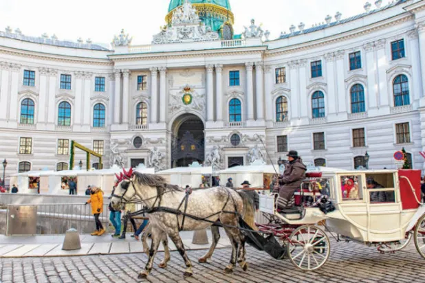 خيول «الفييكا» ‏تحصل على ‏مساعدات بسبب ‏‏«كوفيد ـ 19»‏