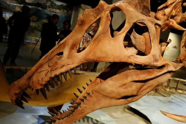 «وحش نهري»... اكتشاف أول ديناصور مائي بطول 15 متراً