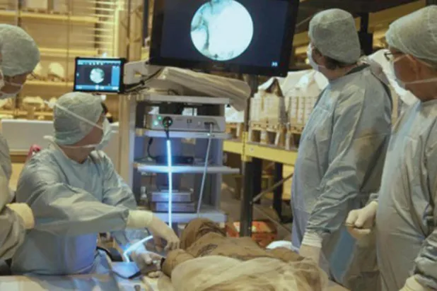 تقنية جديدة لاستعادة الحمض النووي من مومياوات فرعونية