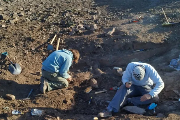 العثور على بقايا ديناصور مفترس عاش قبل 65 مليون عام