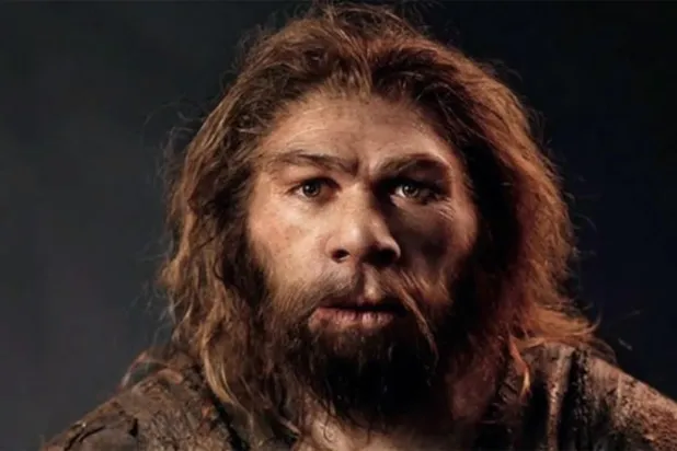 جين «الإنسان البدائي» يساعد السيدات على الإنجاب المتكرر