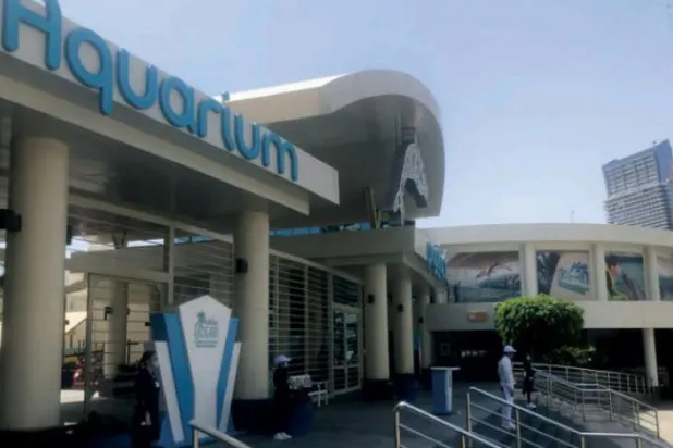 Tourism Gradually Returns to Jeddah Amid COVID-19 Caution