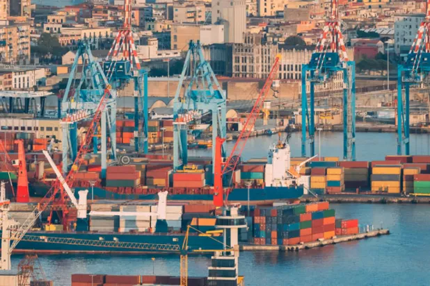  MEDports Association Studies Development Prospects amid COVID-19