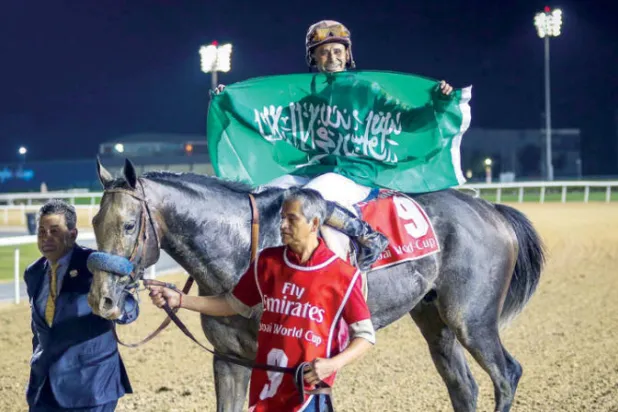 عشاق الفروسية يودّعون الحصان «أروغيت» أسطورة ميادين السباق