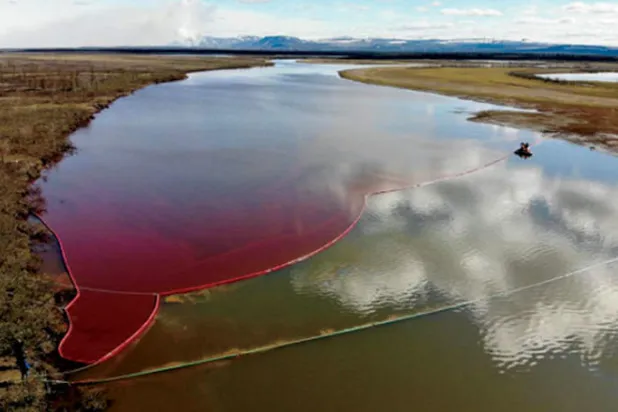 بكتيريا روسية تلتهم التلوث النفطي