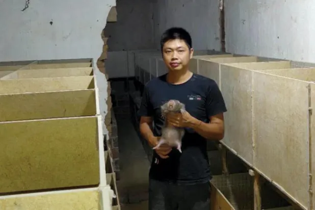 حظر تجارة الحيوانات البرية في الصين مهمة صعبة