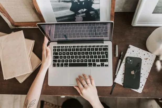 Lebanese Experiences ... Institutions Adopt and Employees Oppose