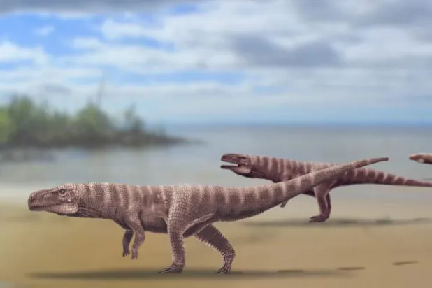 الكشف عن آثار لتمساح قديم سار على قدمين